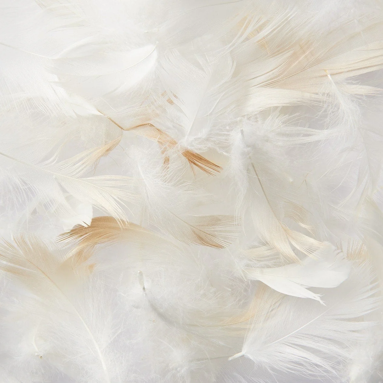 Feather Pillow Insert - Image 4