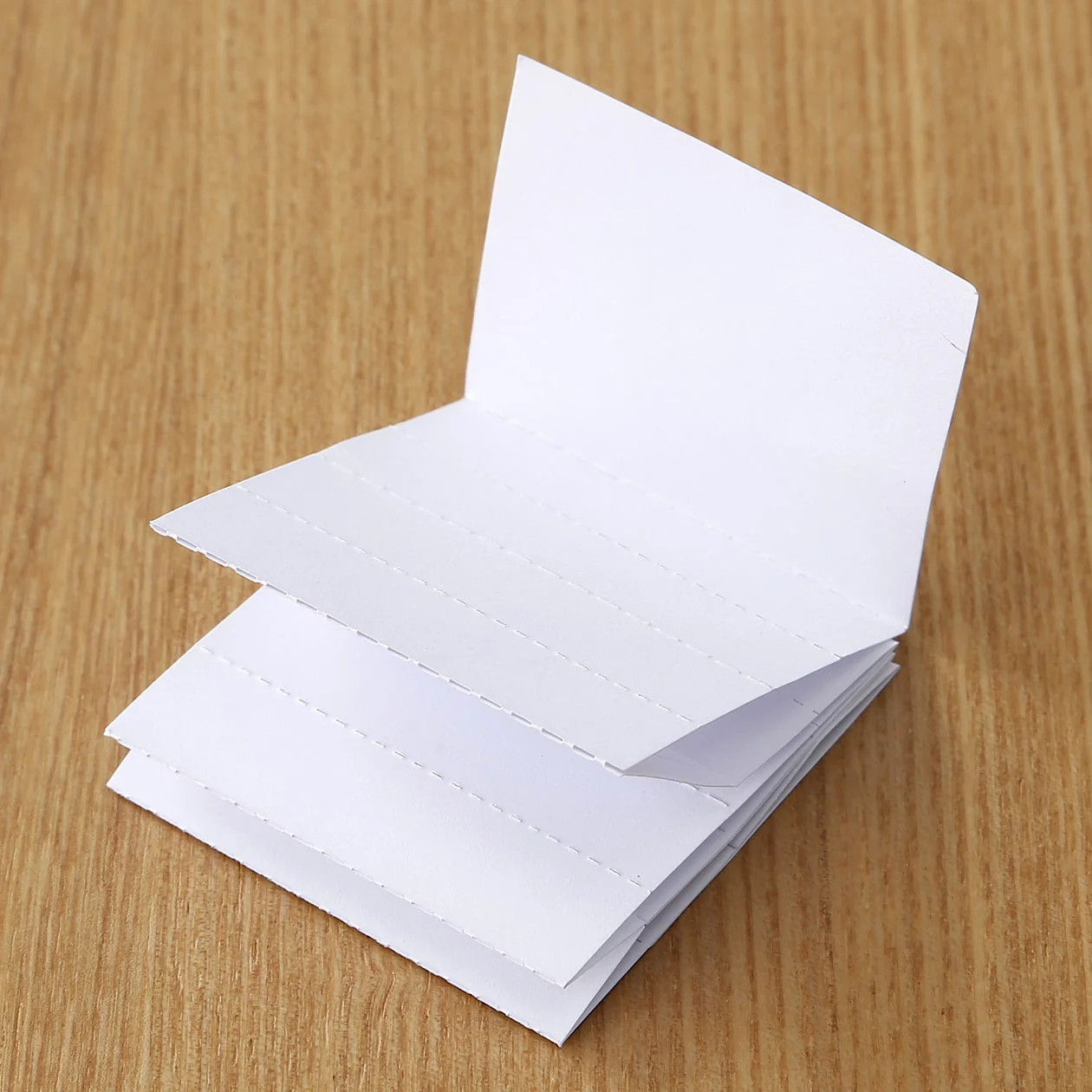 A4 Polypropylene File - Partition Type - Image 4